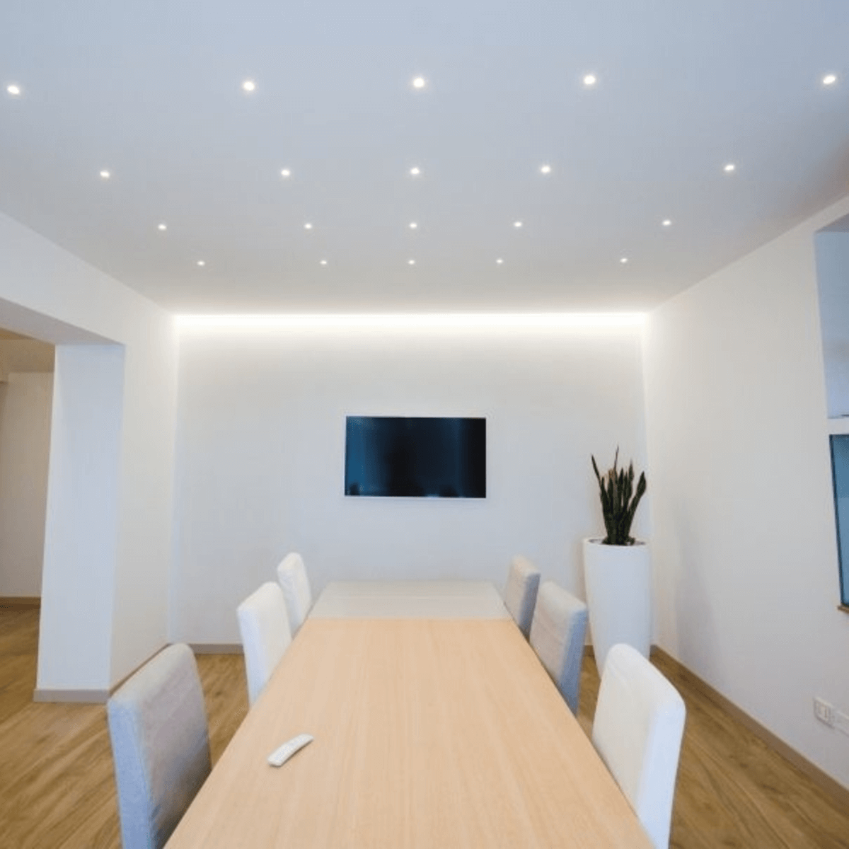 4247e recessed light 2