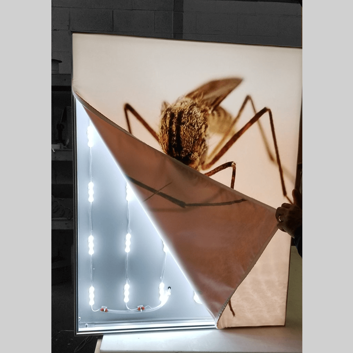 BACKLIT FABRIC LIGHT BOX 3″ FRAME 1