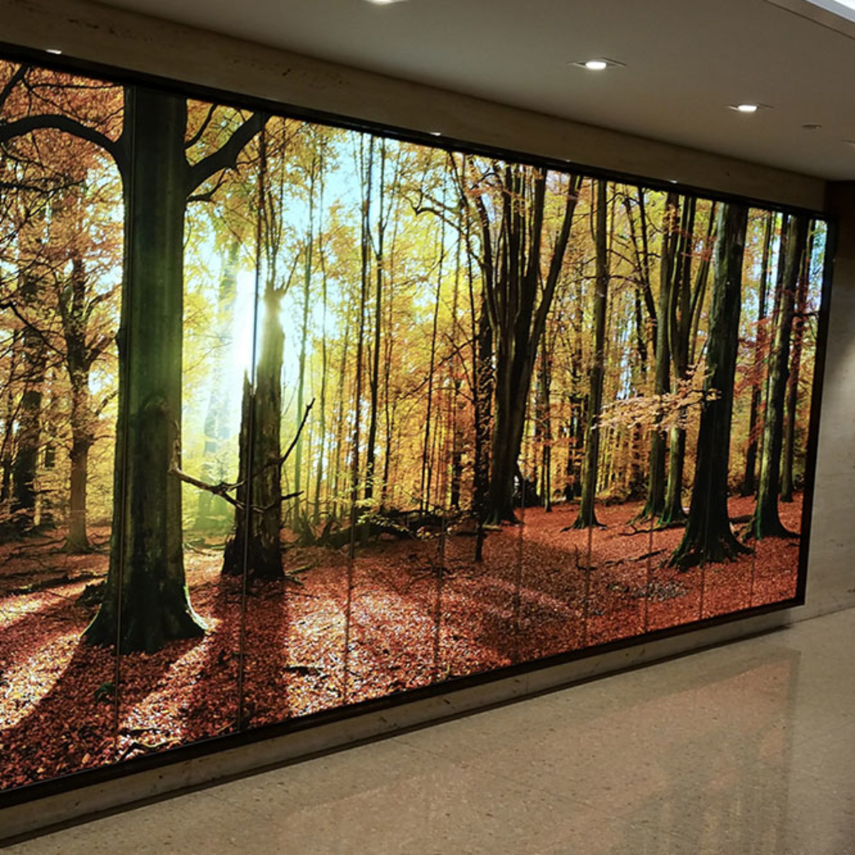 SINGLE SIDED FABRIC LIGHT BOXES