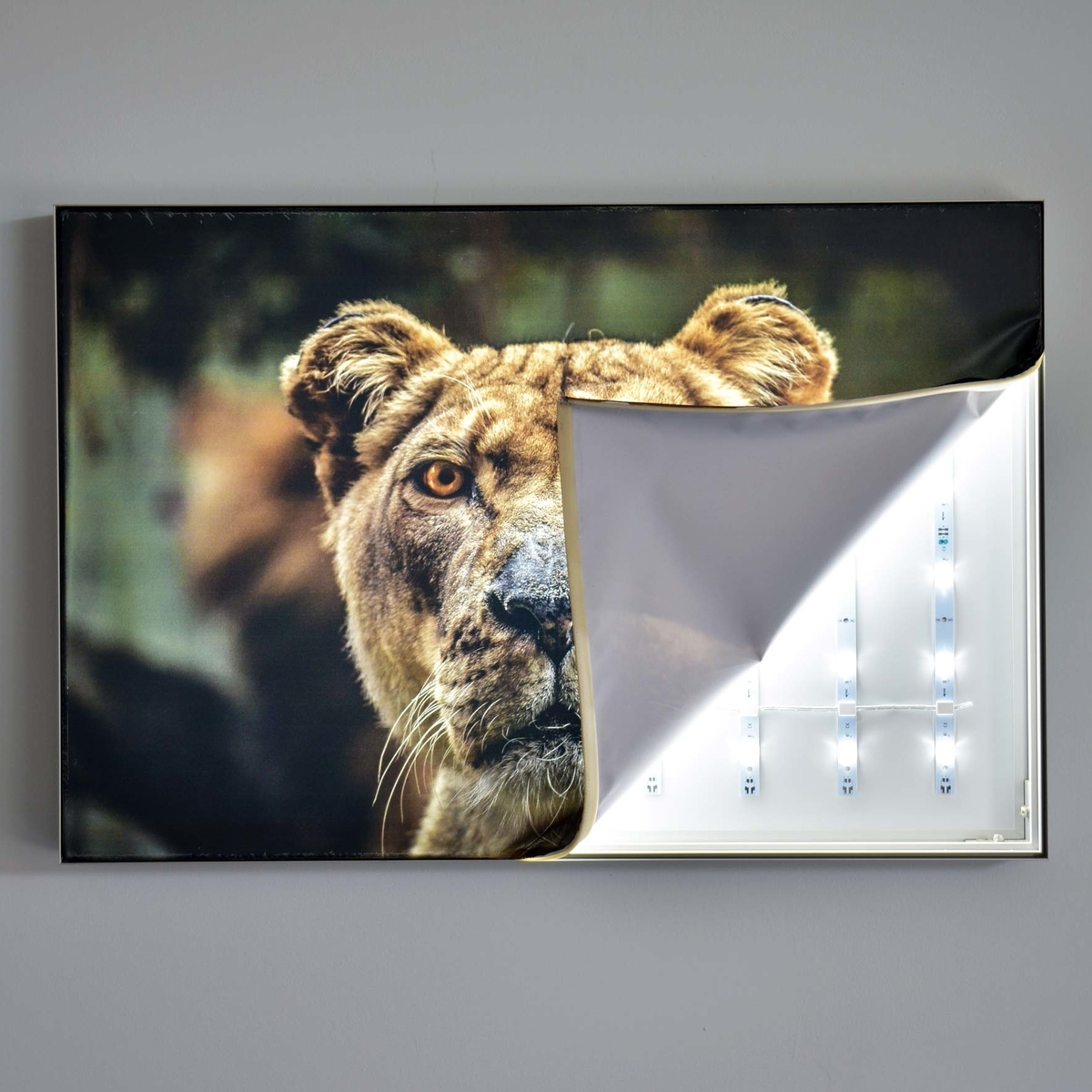 SLIM BACKLIT LED FABRIC LIGHT BOX