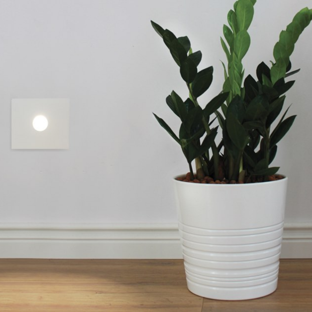 Art. 4205B - Image 2