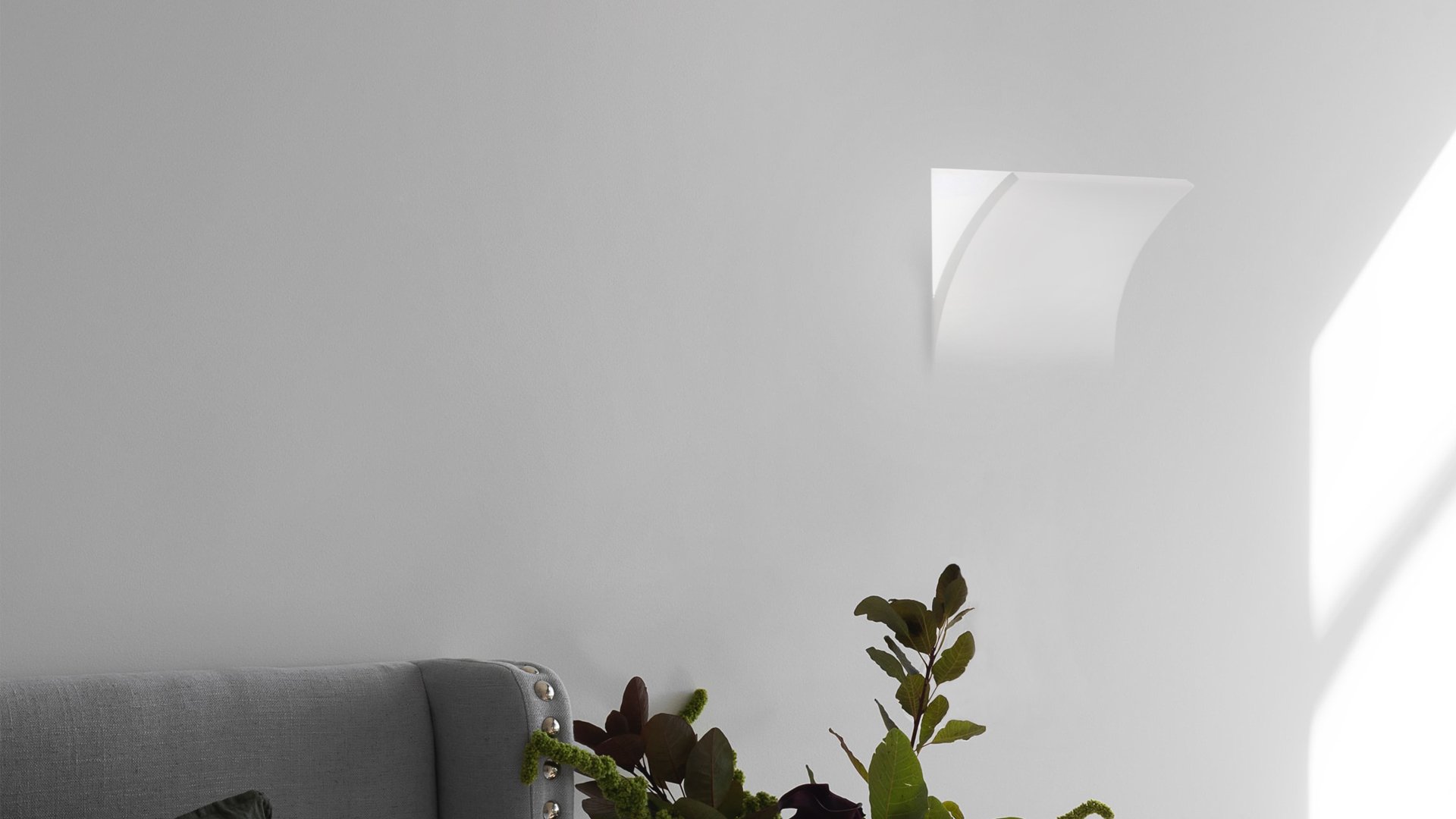 Art. 2365G - Image 3